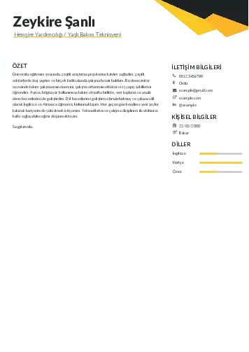 Hasta ve Yaşlı Bakım Elemanı Cv Örnekleri cv indir